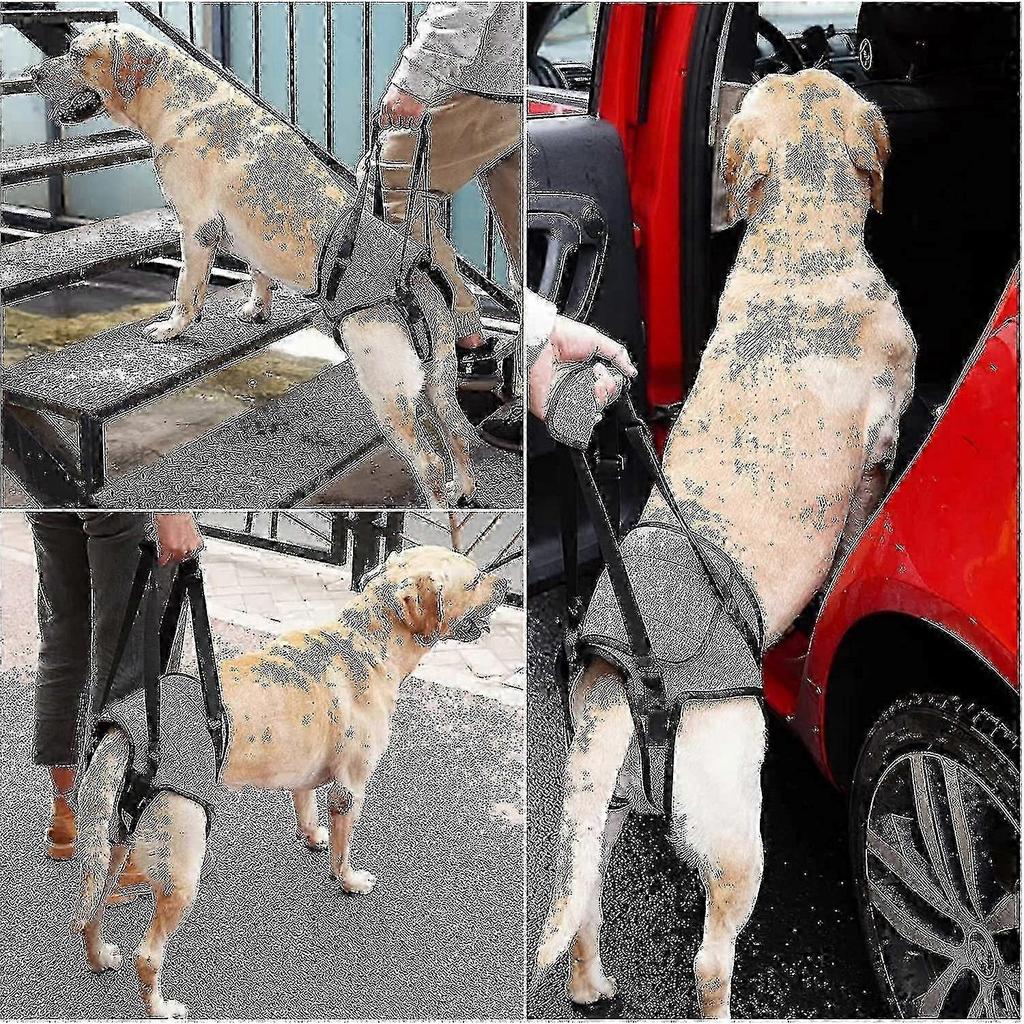 Large Dog Sling for Hind Leg Support & Rehabilitation Aid for Elderly Dogs with Weak Legs - Medium Size