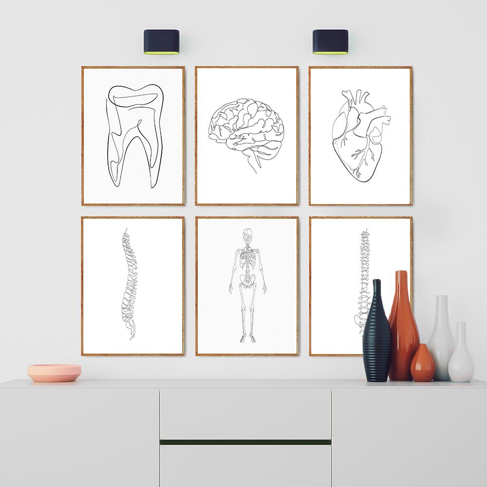Анатомический скелет, одна линия постеры и принты, анатомический рисунок сердца, иллюстрации, холст, картины для подарка, декор для клиники
