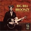 CD BIG BILL BROONZY - Father of Chicago Blues Guitar PCD2804 Pea Vine Blues  1994 Japan Blues Used