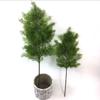 Accessories For Christmas Xmas Pines Pine Needle Leaves Cypress Leaf Artificial Plant Leaves Branch