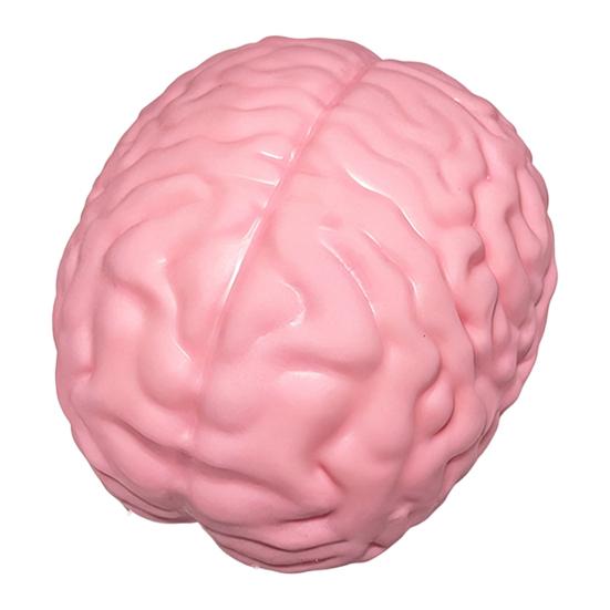 1/2Pcs Giant Simulation Brain Squeeze Toy Stress Relief Pink Brain Sensory Toy Decompression Slow Rising Realistic Brain Fidget Toy