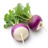 300 Round Nancy Turnip Seeds