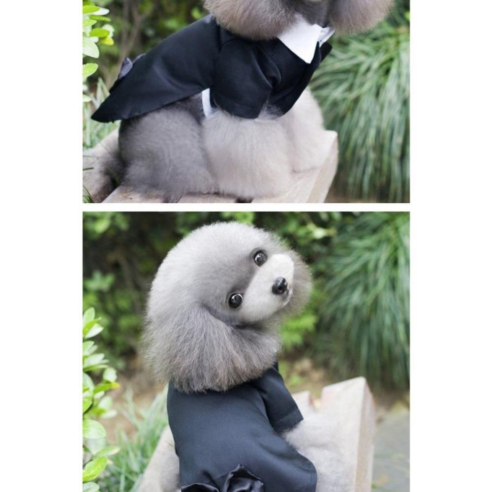 Spring and Summer Cat Fake Two-piece Dog Tuxedo Teddy Bigbear Pomeranian Dog Clothes Pet Suit Dress Cat Supplies