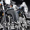 Задняя подвеска мотоцикла DAYTONA Rebel 250/500 (17-21) SR400/500 (78-20) Монтажная длина 280 мм, нижний задний амортизатор, черный 94757