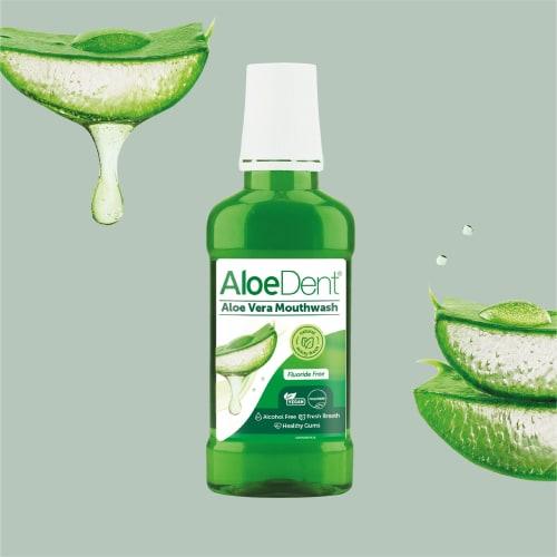 Aloe Dent Aloe Vera Mouthwash 250ml / ??????????????????250??????