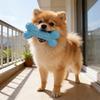 Жевательная кость-игрушка Резиновая шипастая кость Игрушка для щенков при прорезывании зубов Чистка зубов собаке
