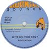 7-дюймовая пластинка REVELATION Why Do You Cry BS041 Burning Sounds 1979 UK Регги Ска Даб Б/у