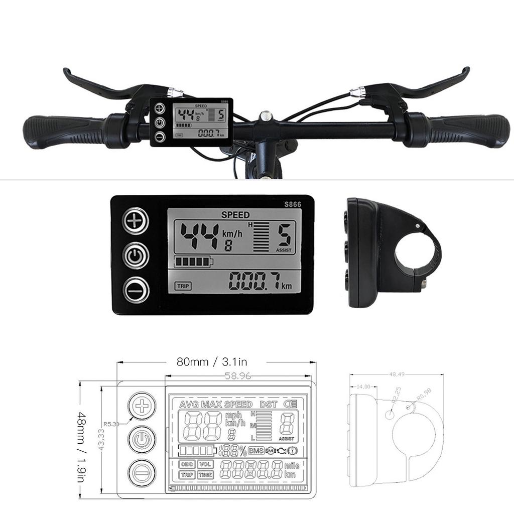 12mm Stainless Steel Twist Shackle with Screw Pin High Breaking Strength for Marine Yachts Speedboats Ships