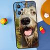 Irish Wolfhound Dog For Realme C55 C67 C61 C75 C53 C51 C21Y C25S GT 6 6T 5 GT7 Pro 10 11 12 13 14 Pro Plus Case