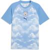 ПМ [Puma] 78625115_Джерси МСФК_Ледяной Синий/Королевский Синий_S