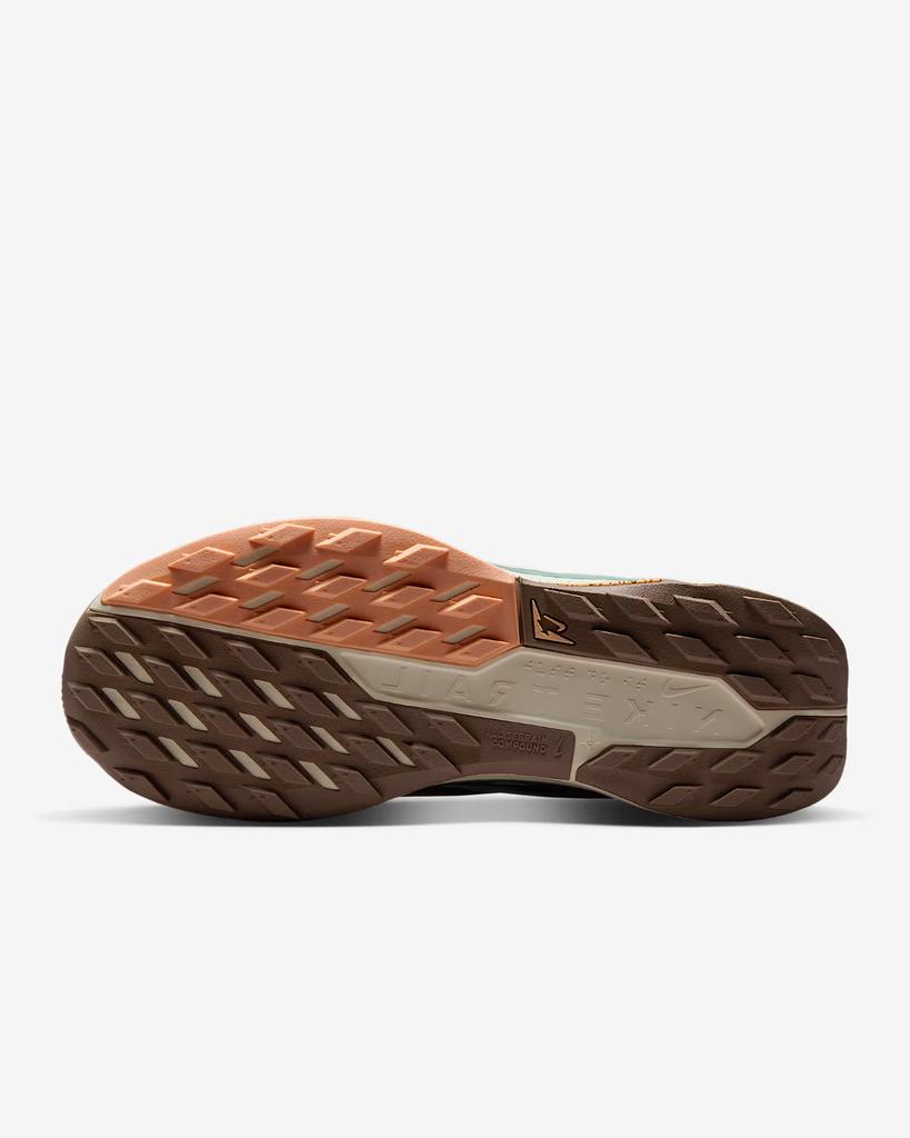 DV3865-010 Nike Pegasus Trail 5 Cannon Mink Brown Orange Chalk Soft (Женский)