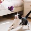 Handfree Insect Butterfly Cat Wand with Bell Powerful Suction Cup Interactive Toys for Cats Kitten Hunting Exercise Pet Products