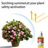50ML Plant Nutrient Promote Sprouting Rapid Flowering Fast Potting Rooting Plant Nutrient Solution Supplement Garden Tool