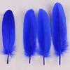 50Pcs Shellfish Feather Goose Feather Diy Handmade Jewelry Accessories Handicrafts Cat Toys Decorative Feathers