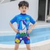 Kids' One-Piece Shark Swimsuit with Swim Cap - Korean Style, Quick-Dry, UV Protection for Boys In Small, Medium, and Large.