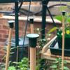 Garden Bamboo Stake Caps Pvc Garden Tool Safety Cover For Gardeners And Home Garden Use