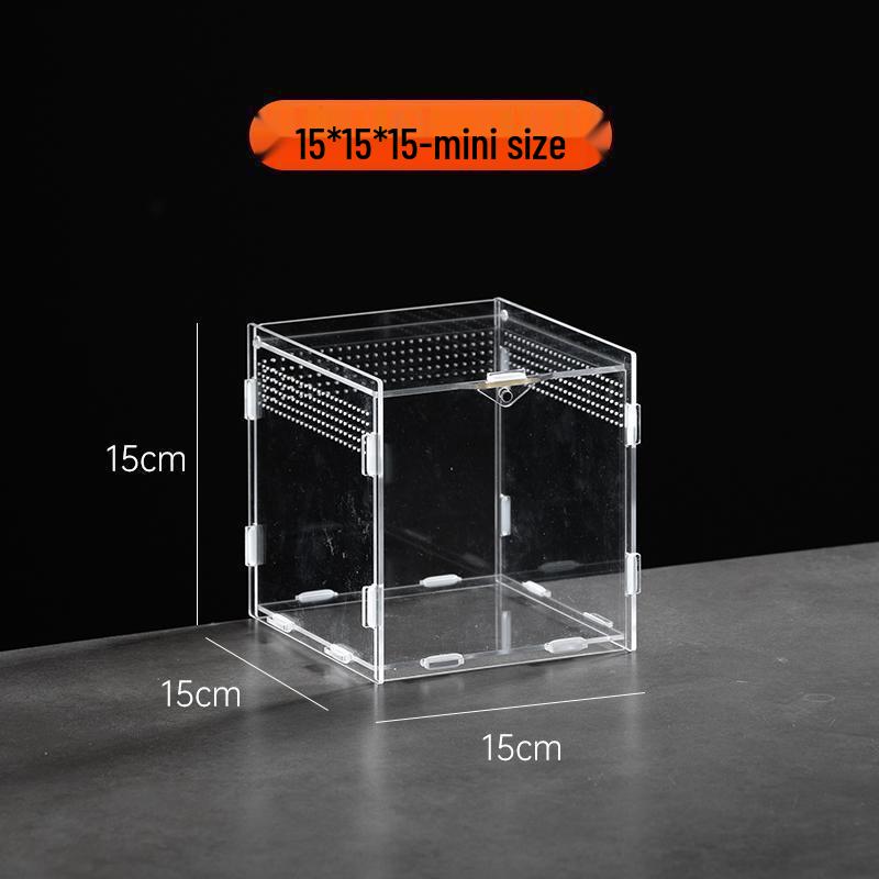 Small Acrylic Reptile Habitat: Transparent Observation Box for Spider, Lizard, Mantis, and Rainforest Landscape