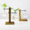 Glass Desktop Planter Bulb Vase Wooden Stand Hydroponic Plant Container Decor Living Room Office Plant Propagation Station
