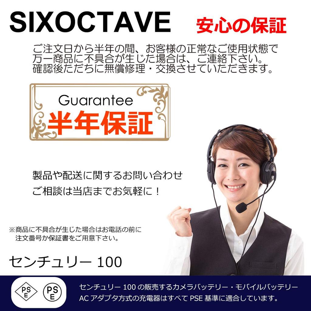 Compatible USB Charger for Sony and Digital SLR Camera Charger NP-FM50/NP-FM70/FM90/NP-FM500H, 900, 700, 550, 350, 300, 200, 100, 99 II, 99,