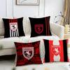 Спортивная Наволочка для Подушки Samsunspor с Короткой Рукавой, Двусторонняя Плюшевая Наволочка – Для автомобиля, дивана, спальни, идеально в качестве подарка.