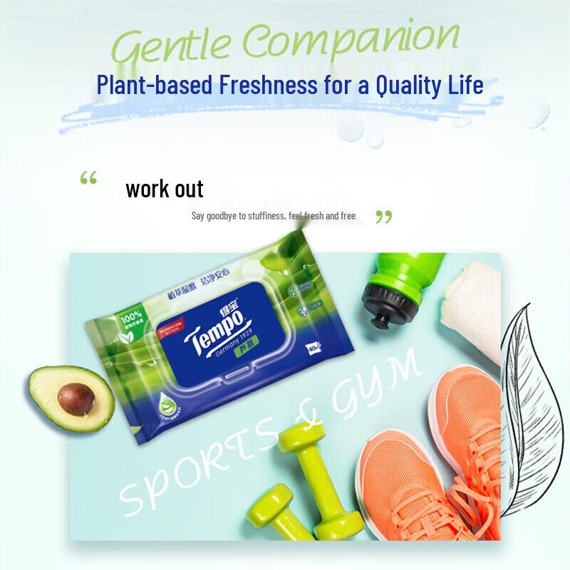 Tempo Aloe Portable Wet Wipes, 40 Sheets, 12 Packs