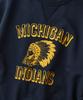 ВЫДАЮЩИЕСЯ V.S.C Свитшот(Индейцы Мичигана)_Военно-морской
