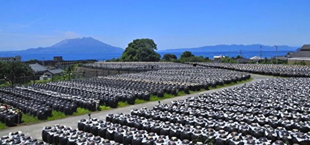 Kurozu Tenju 720 мл x 3 бутылки набор Sakamoto's