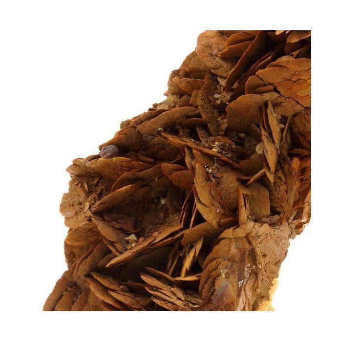 Sidérite + Sphalérite 1605.0 carats