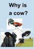 Книга Why Is a Cow?