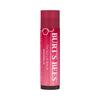 Burt's Bees Tinted Lip Balm, Magnolia, 4.25g, 1 Unit