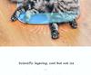 PETKIT  Cooling Cushion Pet Summer Mat Dog Beds Mats Blue Pet Ice Gel  Pad Cool Cold Silk Cooler  Puppy Cat Bed