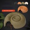 Cave Design Reptile Hidden Cave Aquarium Landscape Decoration Turtle Hiding Hole Snail