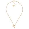 DIOR Alloy Necklaces Unisex Gold N1066LLOCYD301