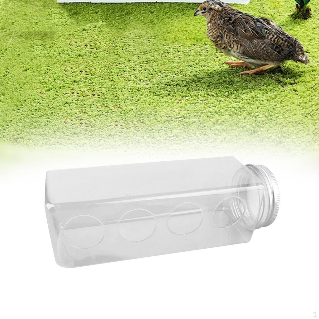 Кормушка для цыплят, тарелка для кормления, оборудование для птицеводства, перепелов