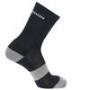 Men's SALOMON Evasion CREW Knee High Socks Unisex 2 Pack Blue