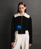 Ava Molli Knit Collar Zip-Up Jumper (Bk)