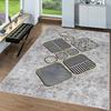 Washable Printed Carpet RGHM0057-SD1174