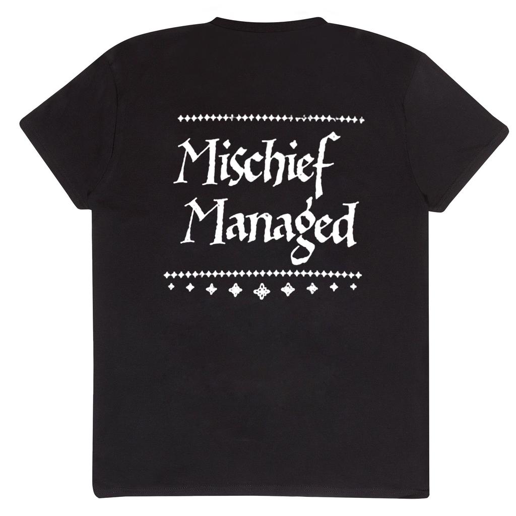 Harry Potter Unisex Adult I Solemnly Swear T-Shirt