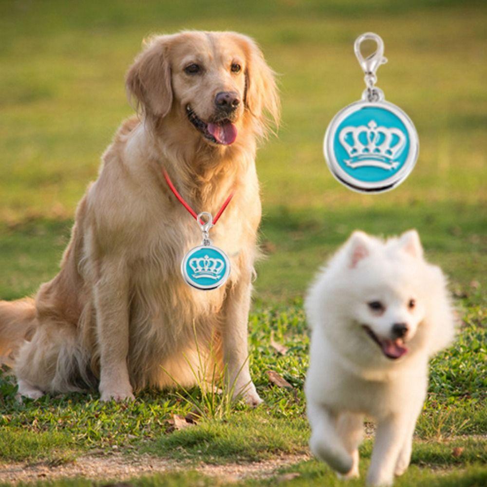 Персонализированный ошейник для собаки Подвеска Предотвращение потери Собачий бирка-подвеска Идентификационная карта питомца Именная табличка для питомца Для улицы