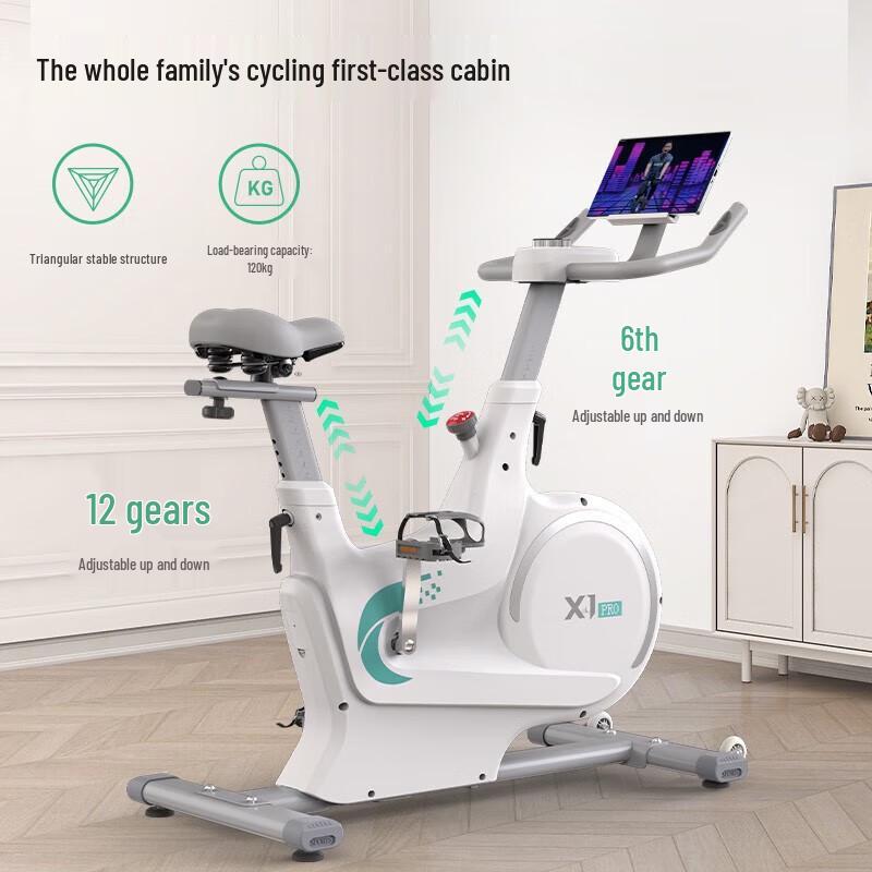 Geruite X1 Pro Home Spin Bike CN plug (adapter included)