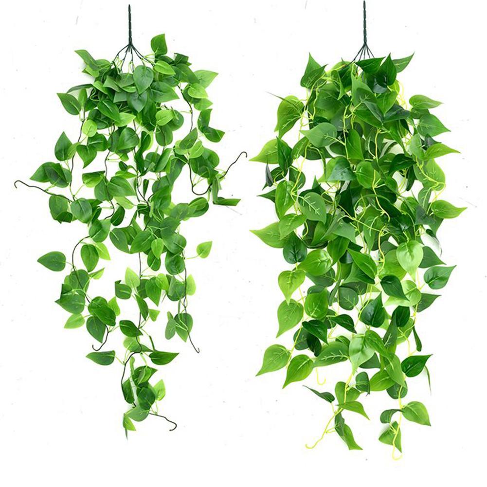 Сливочный искусственный плющ бегонии оставляет зеленый укроп висит