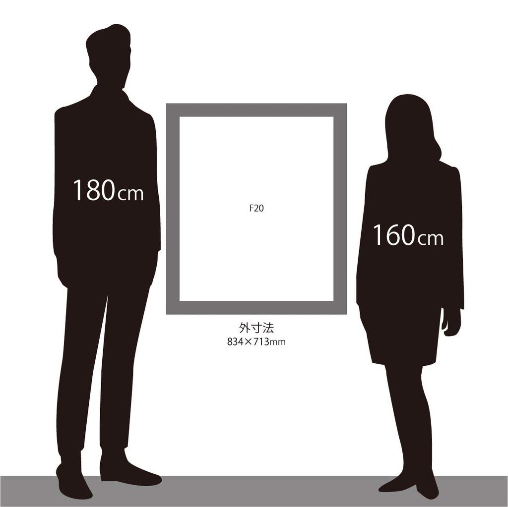 Рама для масляной живописи Daigaku, F20, Серебристый, 8164, Материал