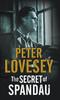 Книга The Secret of Spandau