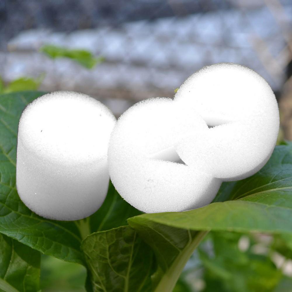 50 шт. стаканчиков для овощей, цилиндров, губчатых сетчатых горшков, стаканчиков для клонирования растений.