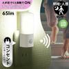 Ohm Ohm Electric Footlight Sensor Night Light Daylight White Footlight Outlet Type AC Powered White (OHM) Light/Dark/Population NIT-ALA6JCL2-WN