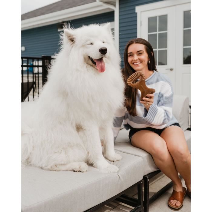 Benebone - Дентальная жевательная игрушка для взрослых собак, Размер M, вкус бекона