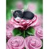 5d Алмазная картина Роза и кошка Подарок Diy Алмазная вышивка Ремесленные наборы для рисования Алмазные настенные рисунки