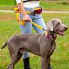 Pet Collar Adjustable Comfortable Durable Nylon Necklace Leash Big Dog High Quality Collars Choker Chain Security Dog Supplies Accessories Products
