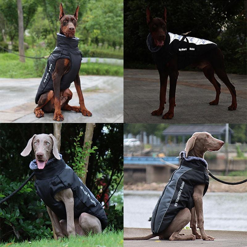 New Winter Dog Warm  Waterproof Clothes Reflective Font Clothes Waterproof Vest Pet Cat Jacket Pet Cotton Clothing For Small Medium Big Dogs XL-6XL