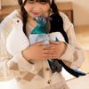 Plush Toy New Simulation Doll Small Pigeon White Pigeon Magpie Stuffed Toy Doll Children's Doll Home Furnishings
